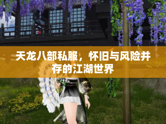 天龙八部私服，怀旧与风险并存的江湖世界