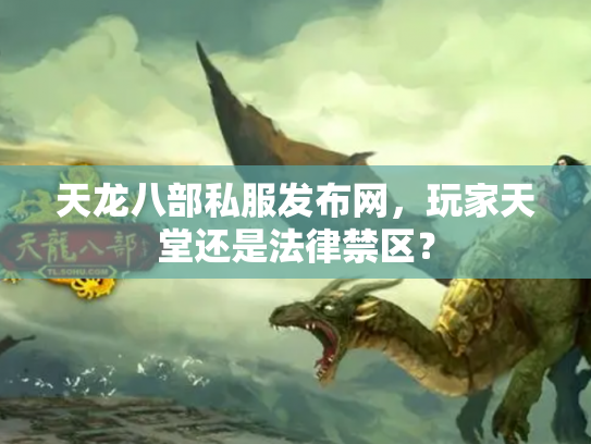 天龙八部私服发布网，玩家天堂还是法律禁区？