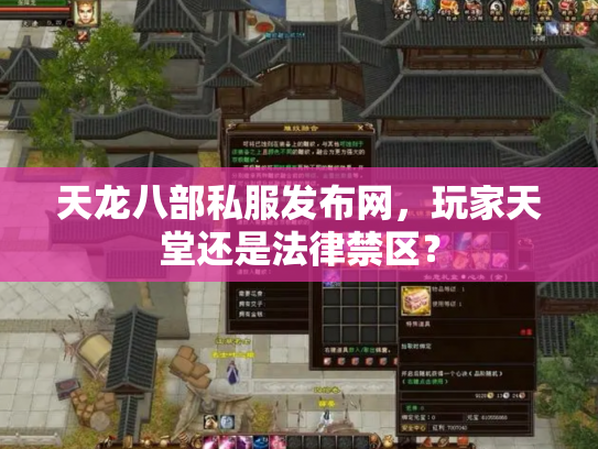 天龙八部私服发布网，玩家天堂还是法律禁区？