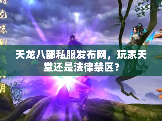 天龙八部私服发布网，玩家天堂还是法律禁区？