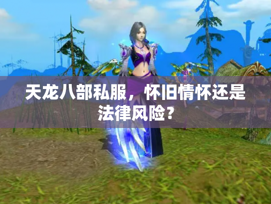 天龙八部私服，怀旧情怀还是法律风险？