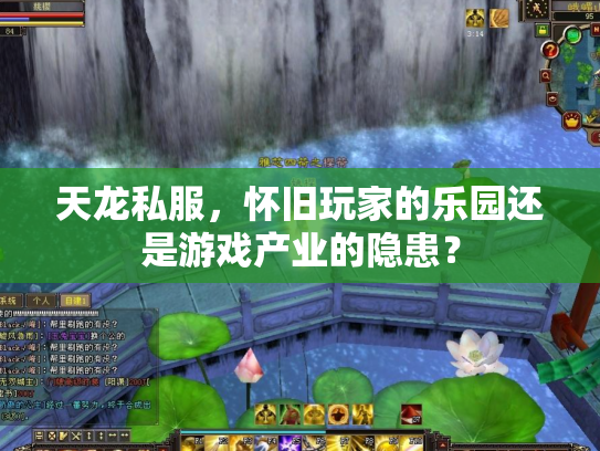 天龙私服，怀旧玩家的乐园还是游戏产业的隐患？