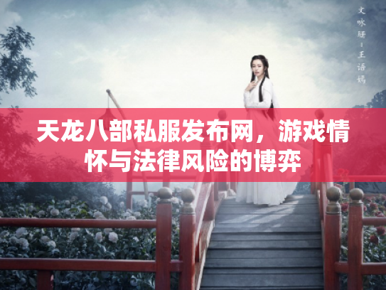 天龙八部私服发布网，游戏情怀与法律风险的博弈