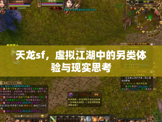 天龙sf，虚拟江湖中的另类体验与现实思考