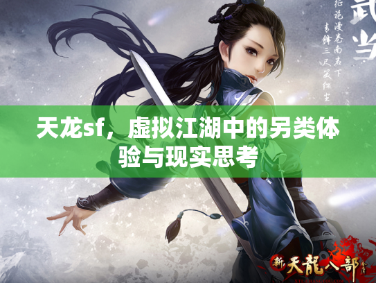 天龙sf，虚拟江湖中的另类体验与现实思考