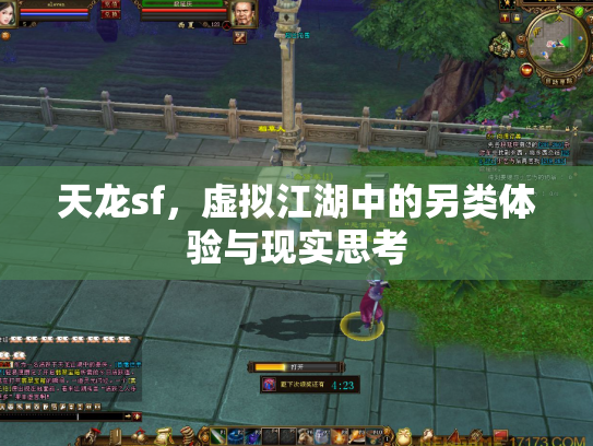 天龙sf，虚拟江湖中的另类体验与现实思考