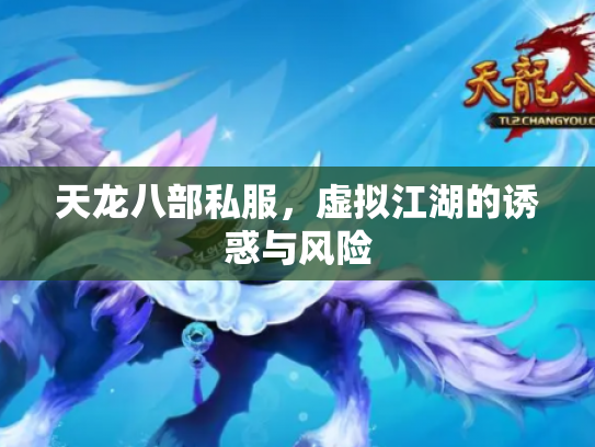 天龙八部私服，虚拟江湖的诱惑与风险