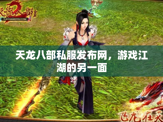 天龙八部私服发布网，游戏江湖的另一面