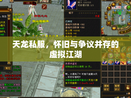 天龙私服，怀旧与争议并存的虚拟江湖