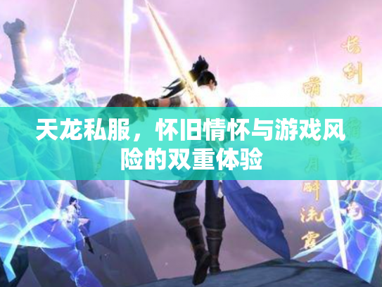 天龙私服，怀旧情怀与游戏风险的双重体验