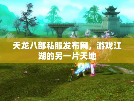 天龙八部私服发布网，游戏江湖的另一片天地