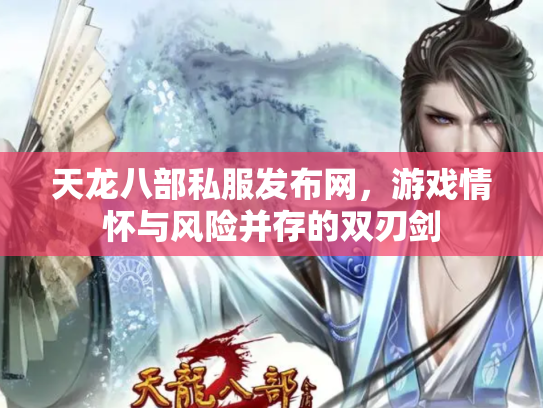 天龙八部私服发布网，游戏情怀与风险并存的双刃剑