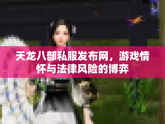 天龙八部私服发布网，游戏情怀与法律风险的博弈