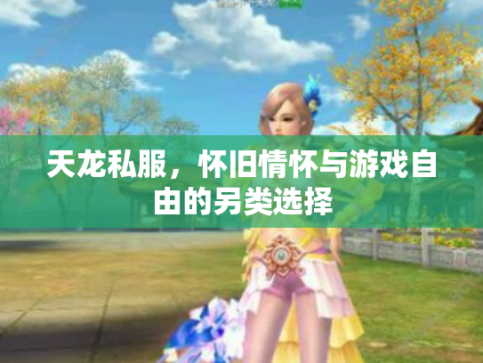 天龙私服，怀旧情怀与游戏自由的另类选择