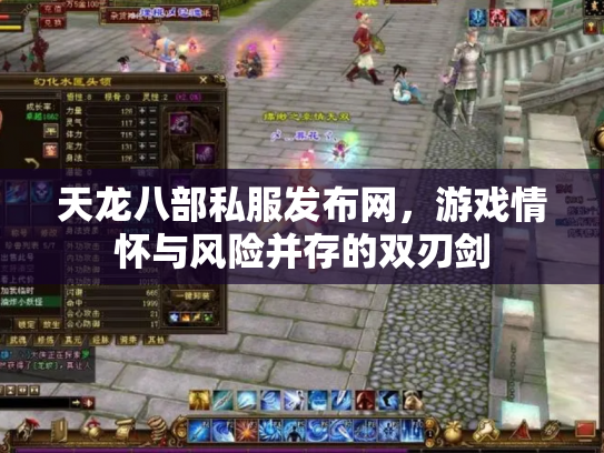 天龙八部私服发布网，游戏情怀与风险并存的双刃剑