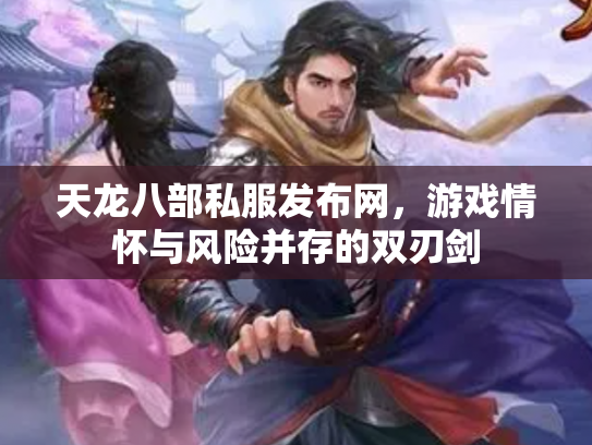 天龙八部私服发布网，游戏情怀与风险并存的双刃剑