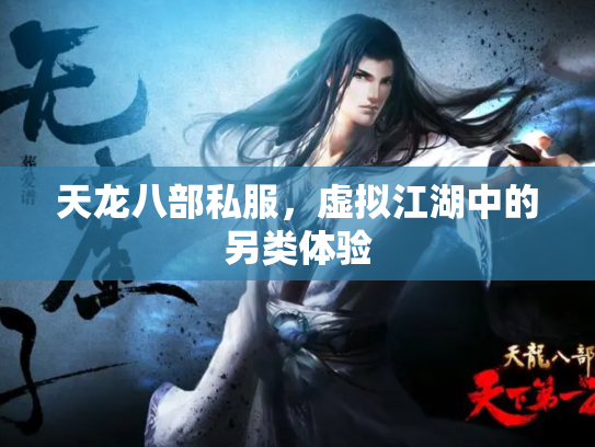 天龙八部私服，虚拟江湖中的另类体验