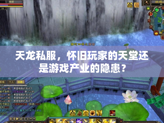 天龙私服，怀旧玩家的天堂还是游戏产业的隐患？