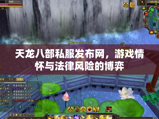 天龙八部私服发布网，游戏情怀与法律风险的博弈