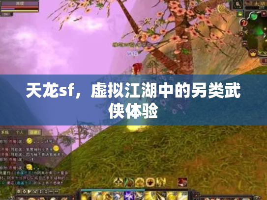 天龙sf，虚拟江湖中的另类武侠体验