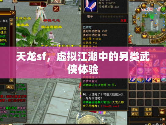 天龙sf，虚拟江湖中的另类武侠体验