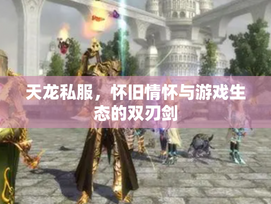 天龙私服，怀旧情怀与游戏生态的双刃剑