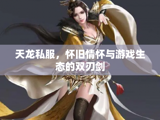 天龙私服，怀旧情怀与游戏生态的双刃剑