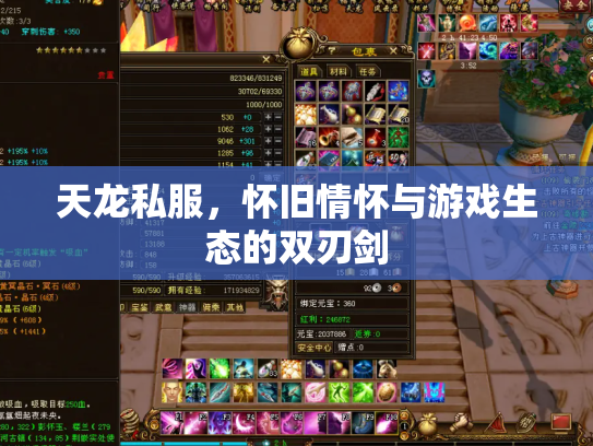 天龙私服，怀旧情怀与游戏生态的双刃剑
