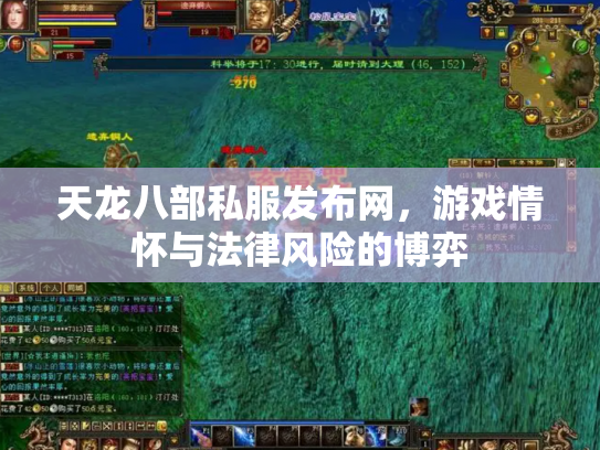 天龙八部私服发布网，游戏情怀与法律风险的博弈