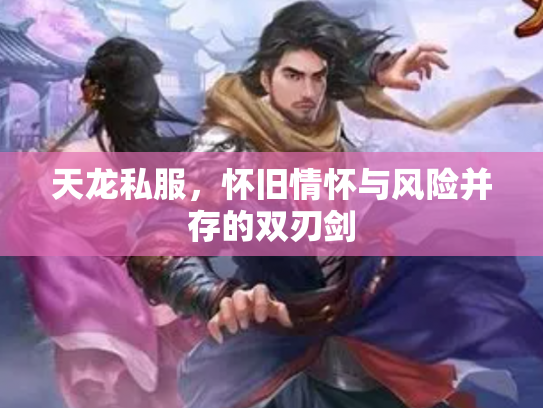 天龙私服，怀旧情怀与风险并存的双刃剑