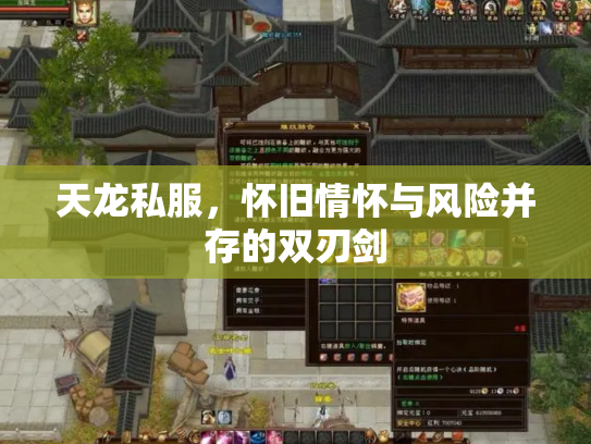 天龙私服，怀旧情怀与风险并存的双刃剑
