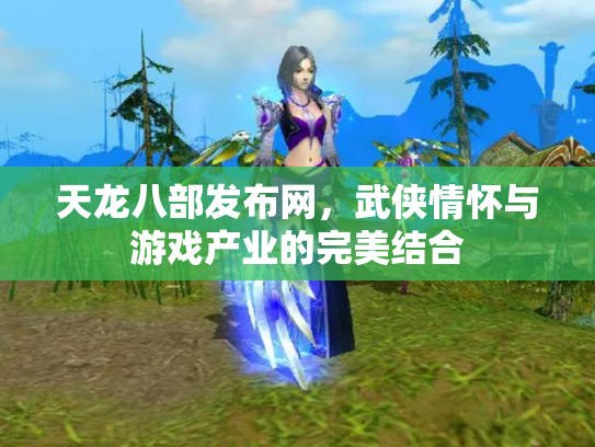 天龙八部发布网，武侠情怀与游戏产业的完美结合