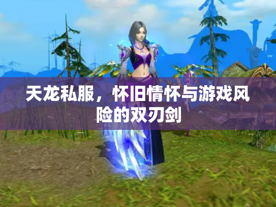 天龙私服，怀旧情怀与游戏风险的双刃剑
