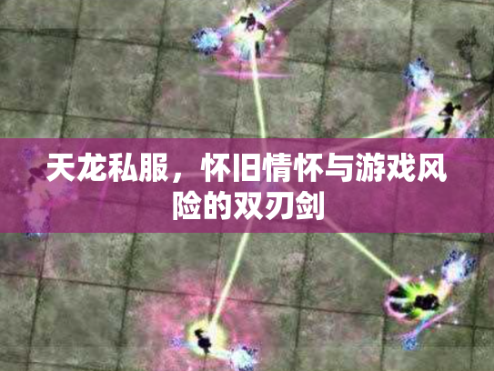 天龙私服，怀旧情怀与游戏风险的双刃剑