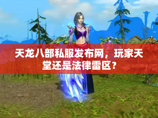 天龙八部私服发布网，玩家天堂还是法律雷区？
