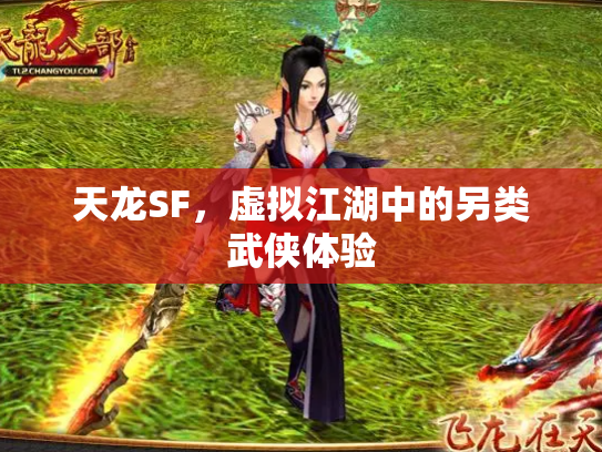 天龙SF，虚拟江湖中的另类武侠体验