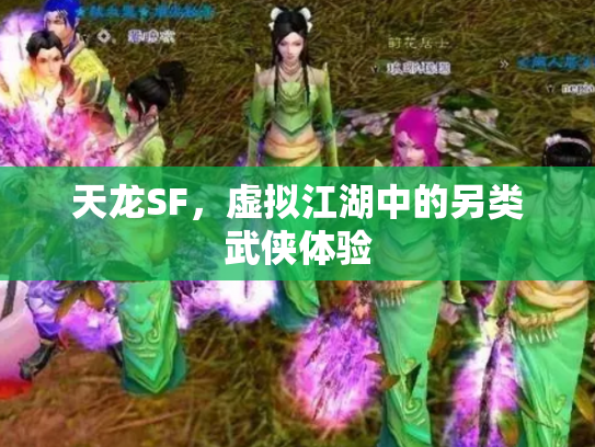 天龙SF，虚拟江湖中的另类武侠体验