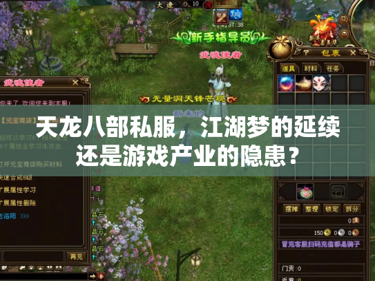 天龙八部私服，江湖梦的延续还是游戏产业的隐患？