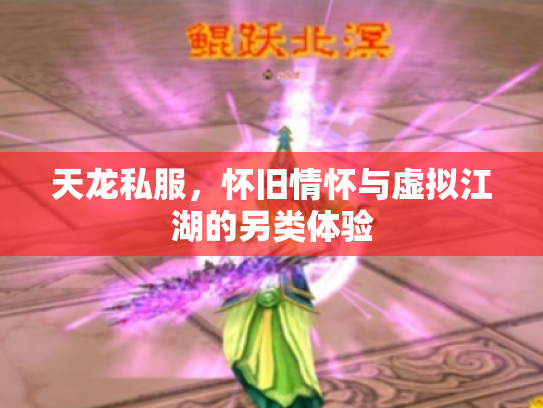 天龙私服，怀旧情怀与虚拟江湖的另类体验