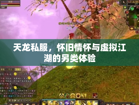 天龙私服，怀旧情怀与虚拟江湖的另类体验
