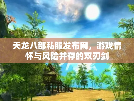 天龙八部私服发布网，游戏情怀与风险并存的双刃剑