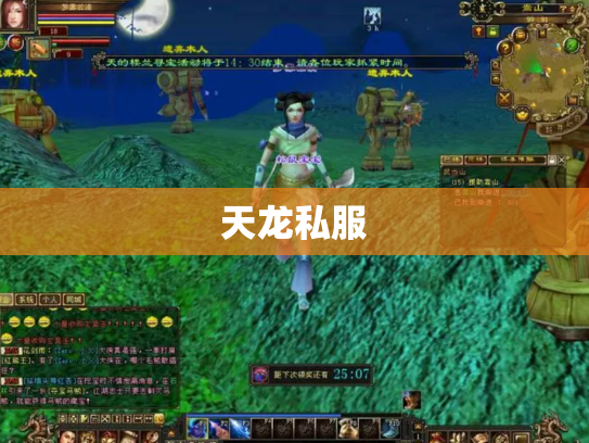天龙私服
