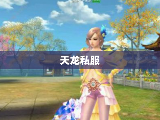 天龙私服