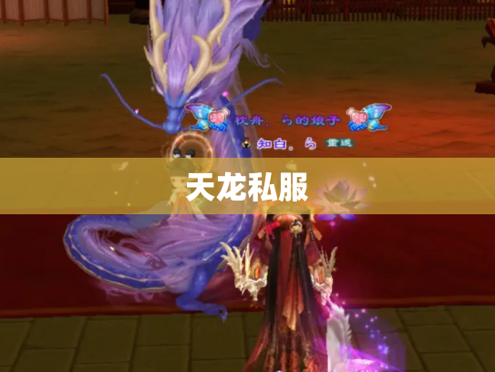天龙私服