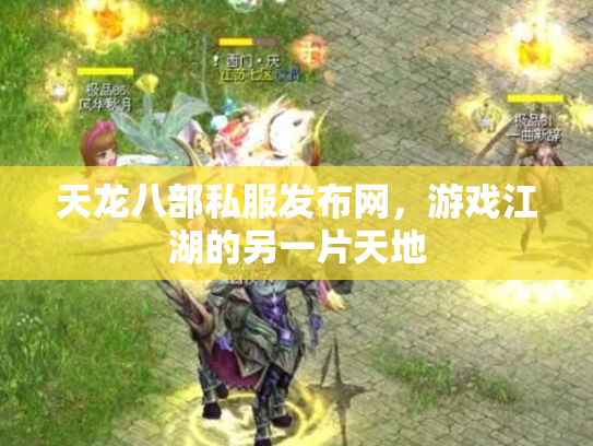 天龙八部私服发布网，游戏江湖的另一片天地