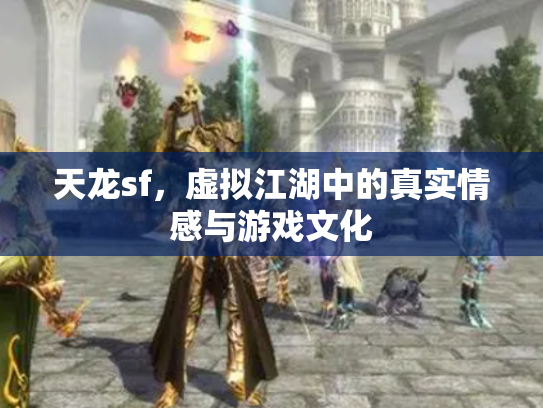 天龙sf，虚拟江湖中的真实情感与游戏文化