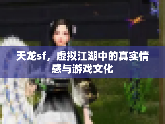 天龙sf，虚拟江湖中的真实情感与游戏文化