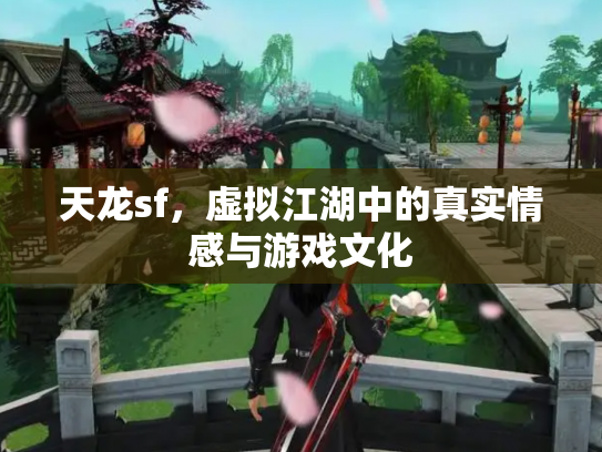 天龙sf，虚拟江湖中的真实情感与游戏文化