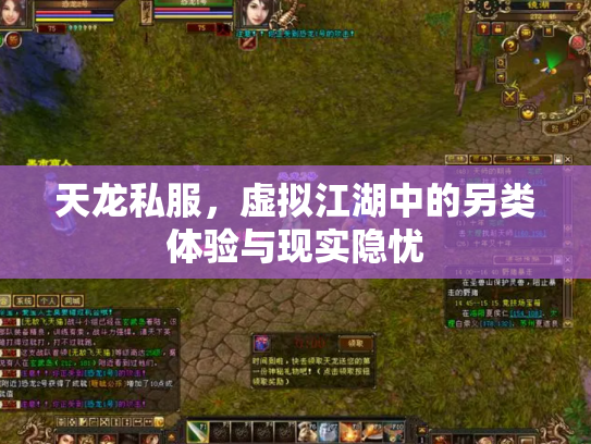 天龙私服，虚拟江湖中的另类体验与现实隐忧