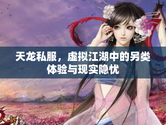天龙私服，虚拟江湖中的另类体验与现实隐忧